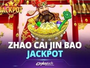 Zhao Cai Jin Bao screenshot