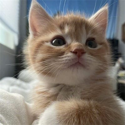 Rina Febriani avatar